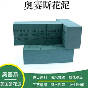 奥赛斯®花泥 花泥插花湿花泥鲜花泥插花泥材料 oasis经济型20块装