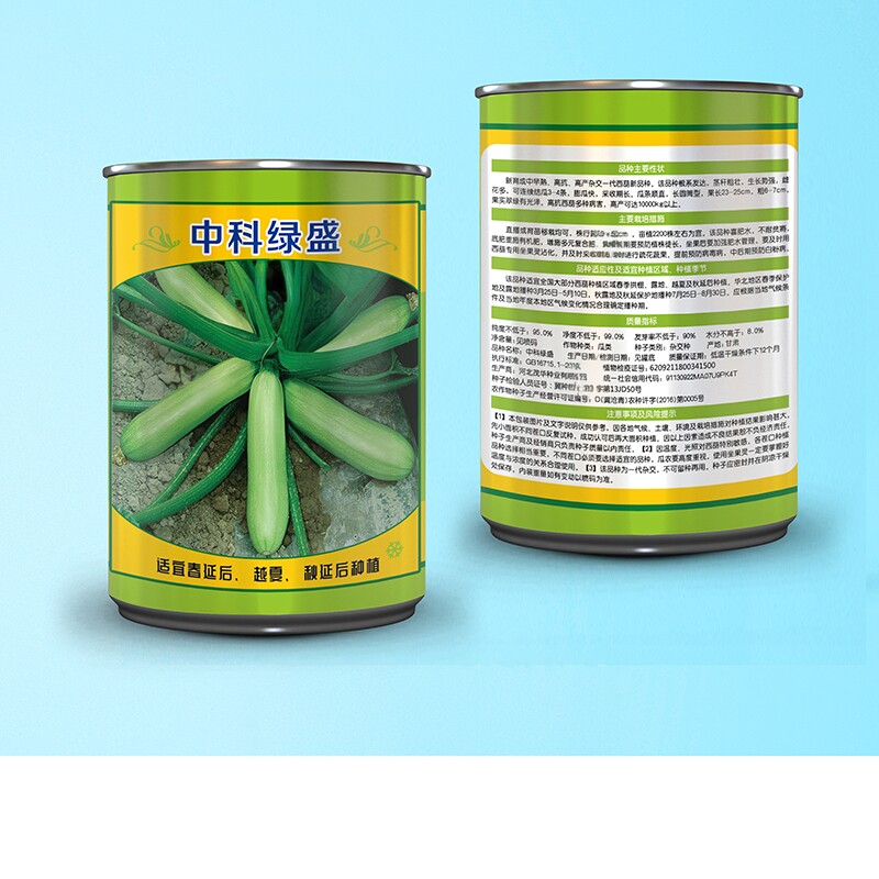 中科茂华蔬菜种子中科绿盛西葫芦种子越夏