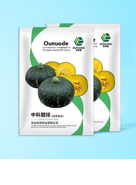 中科茂华中科靓绿板栗南瓜种子高圆扁圆绿栗新西兰类型甘面粉糯