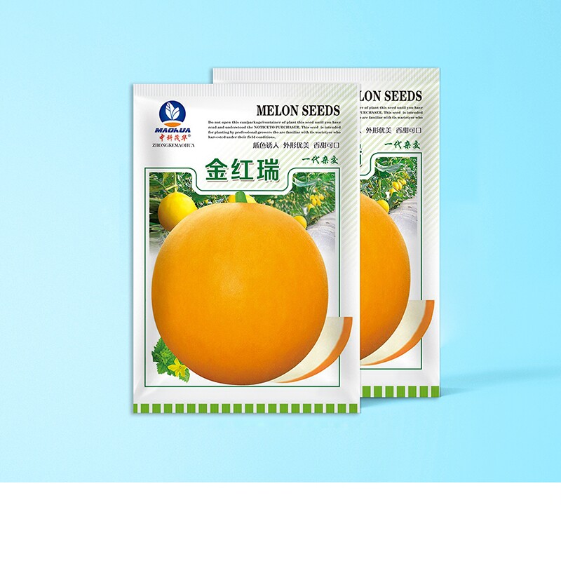 中科茂华蔬果瓜果种子金红瑞金黄皮大果白肉哈密瓜肉质清香甜蜜