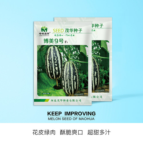 中科茂华瓜果种子 博美9号甜瓜种子 花皮绿肉橘瓤博洋系列9号香瓜