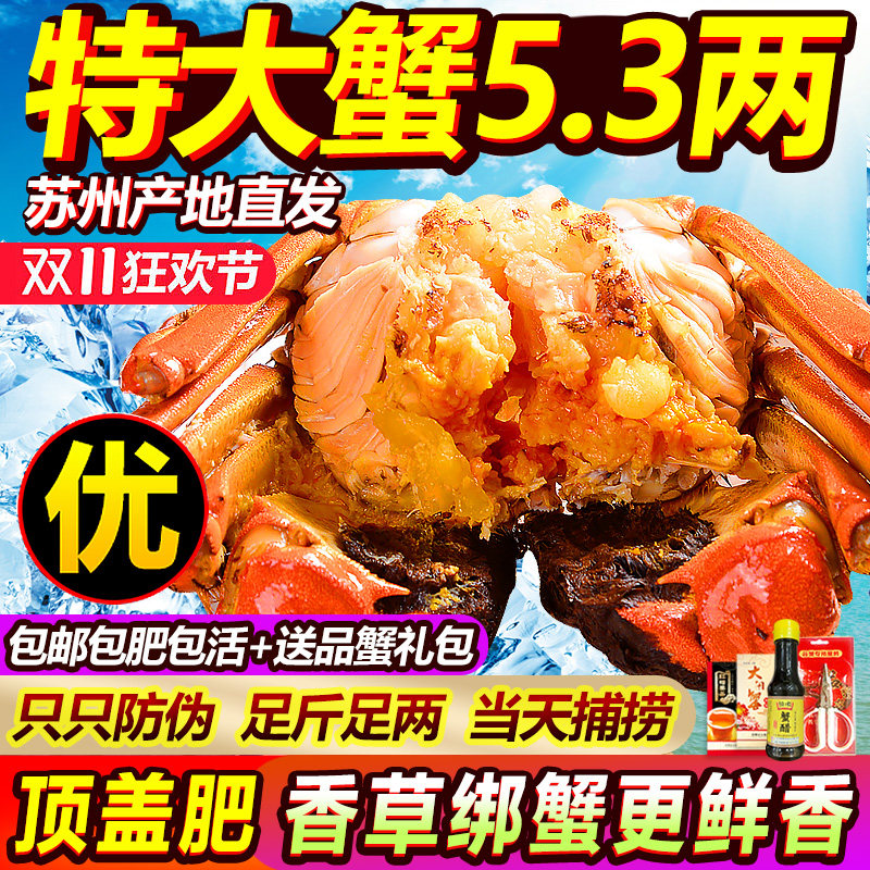超特大5.3阳澄老马家大闸蟹鲜活蟹螃蟹现货10只公全母蟹湖鲜官方