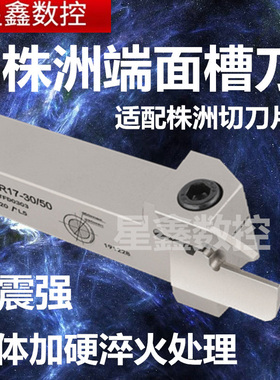 株洲端面槽刀QFFD2525L22-100-150株洲通用款切刀用端面切槽刀杆