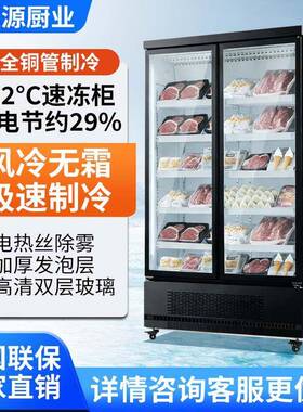 商用冰箱双门冷冻展示柜餐饮店食品储冰柜立式冰柜冰块冷冻柜风冷