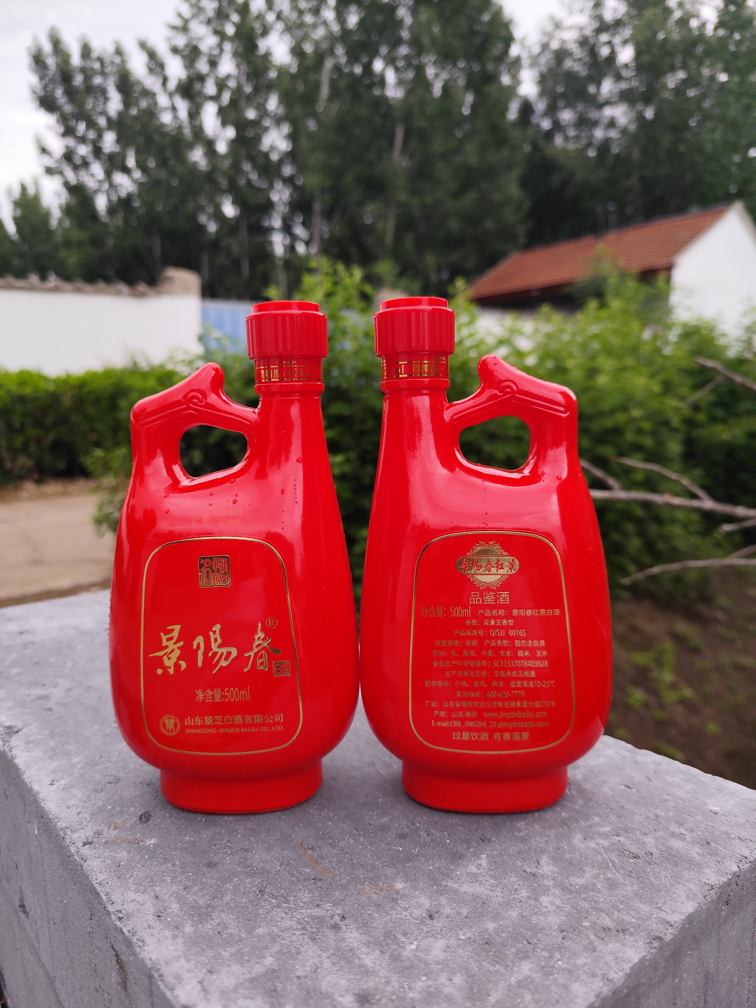 景芝景阳春品鉴42度500ml*6瓶整箱特惠光瓶简装红色喜宴婚宴白酒