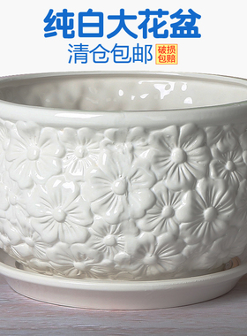 白色陶瓷花盆大口径特价特大号清仓带托盘简约多肉盆栽绿萝花盘