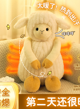 热水袋充电式防爆毛绒可爱卡通暖水袋女暖宝宝床上用热宝电暖手宝