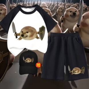 刀盾狗衣服恶搞笑抽象纯棉插肩短袖 拼接短袖 t恤短裤 夏季 套装 我