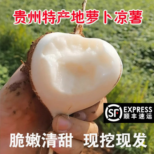 贵州安顺地萝卜凉薯现挖现发顺丰