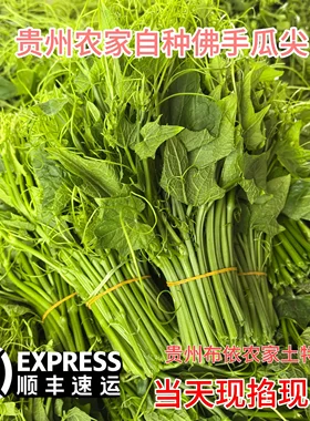 贵州特产新鲜龙须菜顺丰包邮