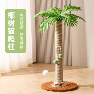 大树实木猫爬架家用小户型不占地通天柱大猫专用猫抓板耐磨不掉屑