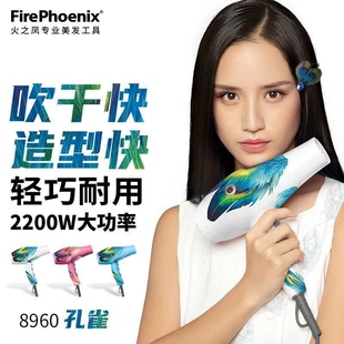 火之凤电吹风机正品 8960大功率冷理发店专用风筒家用速干热风发廊