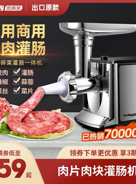 Tenfly添美家家用商用电动绞肉机能自动碎肉馅灌肠小型不锈钢多功