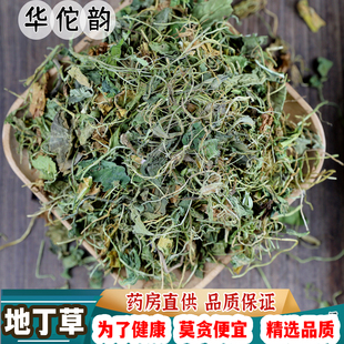 华佗韵 地丁草地丁紫花紫草地丁花紫地丁地丁茶中药材 中草药