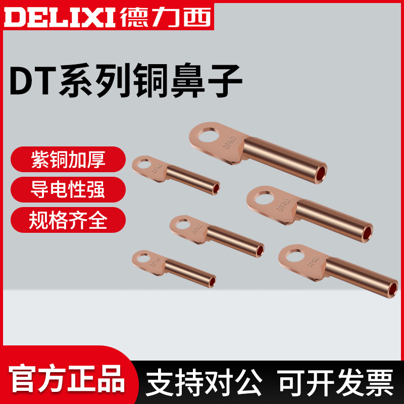 德力西读写铜鼻子接线端子