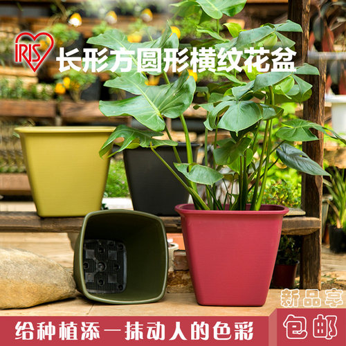 长方形圆形花盆加厚塑料盆栽