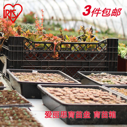 爱丽思花卉多肉育苗盆三件包邮