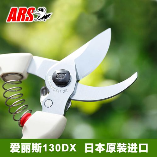 花艺剪枝剪锋利爱丽斯