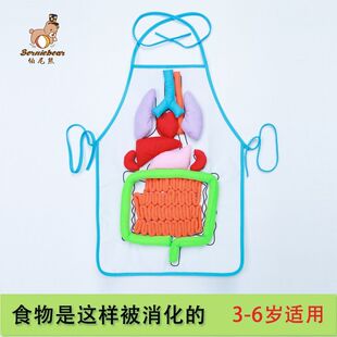 人体消化系统肚兜围裙人体器官模型粘贴教玩具幼儿园科学教具挂袋