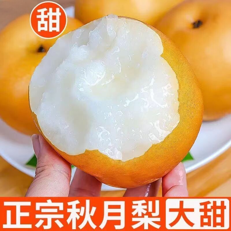 秋月梨子新鲜水果特级正宗梨子