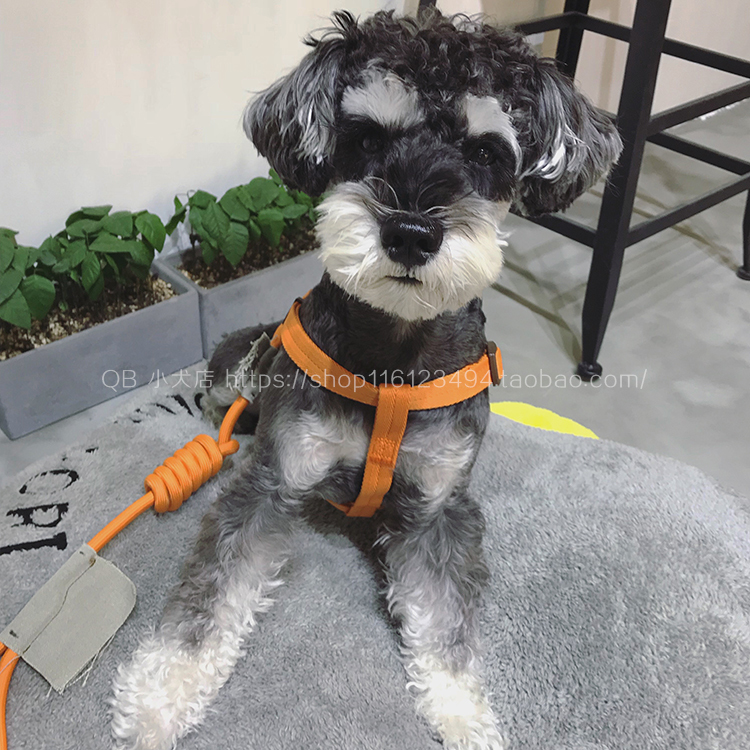 狗绳套装胸背带牵引绳touchdog