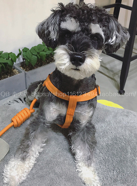 QB小犬店touchdog胸背带牵引绳攀岩圆绳套装宠物狗绳狗链子包邮