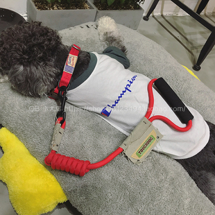 QB小犬店touchdog项圈颈圈牵引绳攀岩圆绳套装宠物狗绳狗链子