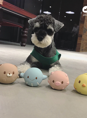 QBpetio出口日本宠物狗狗耐咬发声橡胶玩具雪纳瑞小型犬狗玩具