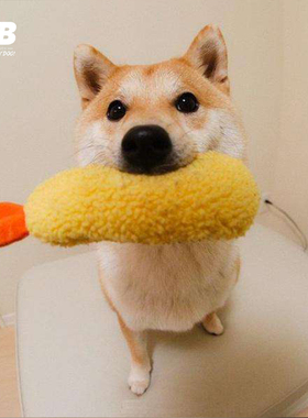 QB日本bestever天妇罗炸虾柴犬大福daifuku宠物发声响纸逗狗玩具