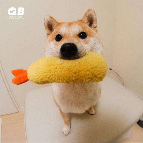 bestever日本柴犬天妇罗炸虾玩具