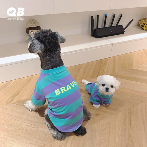 狗狗自制t恤秋季雪纳瑞服饰比熊