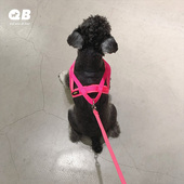 QB雪纳瑞泰迪柴犬比熊防暴冲防勒海绵缓冲胸背带可调节牵引绳套装