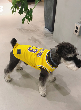 QB狗狗篮球背心雪纳瑞衣服夏装薄款泰迪法斗比熊湖人23同款篮球衣