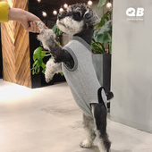 宠物狗狗猫咪绝育术后防舔衣生理裤 雪纳瑞泰迪比熊博美 防骚扰裤