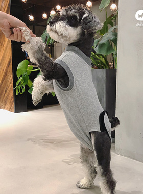 宠物狗狗猫咪绝育术后防舔衣生理裤防骚扰裤雪纳瑞泰迪比熊博美