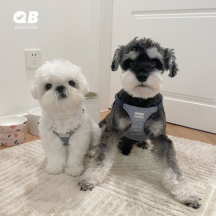 Puppytie狗狗胸背带背心式牵引绳小型犬遛狗绳泰迪比熊雪纳瑞白色