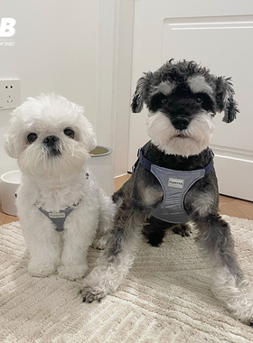 Puppytie狗狗胸背带背心式牵引绳小型犬遛狗绳泰迪比熊雪纳瑞白色
