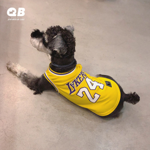 泰迪法斗湖人24科比同款 篮球衣 薄款 QB狗狗篮球背心雪纳瑞衣服夏装