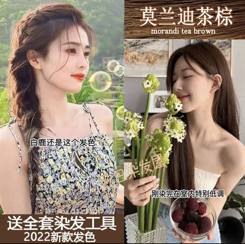 莫兰迪茶棕色染发膏流行色自己在家染发植物染发剂不是泡泡染