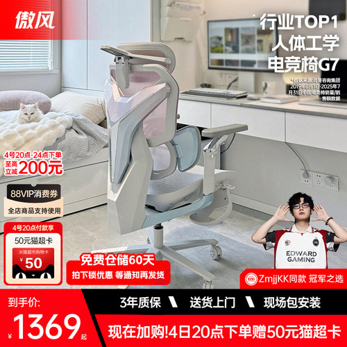 人体工学电竞椅 3区AUTO追腰 电竞樱花背甲