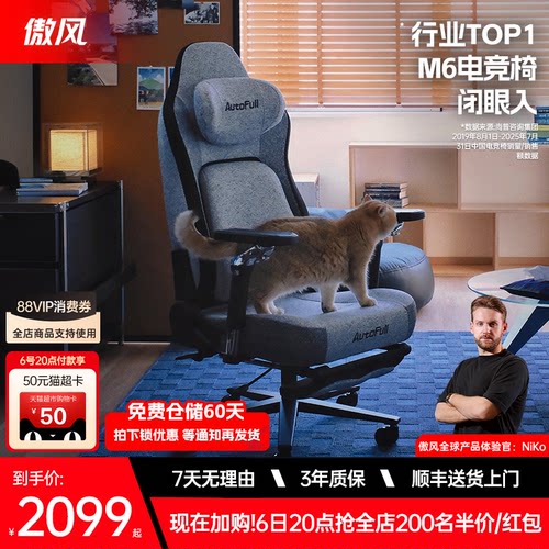 [耐猫抓]傲风M6猫抓椅电竞椅