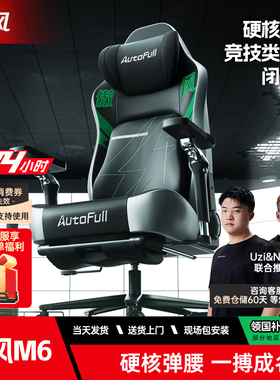 傲风电竞椅m6人体工学椅护腰办公椅子舒服久坐电脑椅