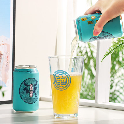 牛啤堂帝都海盐酸啤酒古斯杨梅杨桃油柑芒果精酿啤酒330ML罐装
