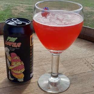 新西兰进口精酿啤酒幻视疯眼爱好者水果酸艾尔三倍浑浊IPA罐装