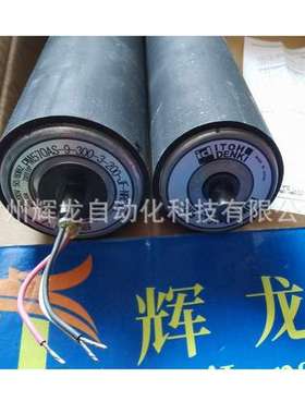 PM500FE-25-492-D-024-VG日本伊东株式会社ITOH DENKI电动滚