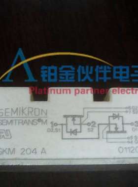 全新 SKM204A SKM214A SKM254F SKM204A BSM111A 电源功率模块