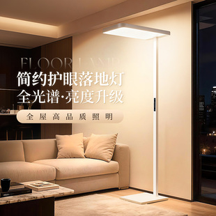 全光谱落地灯客厅高级感立式阅读台灯沙发旁边卧室床头护眼大路灯