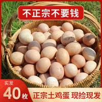 40枚土鸡蛋正宗农家散养新鲜月子蛋农村草鸡笨鸡蛋孕妇营养柴鸡蛋