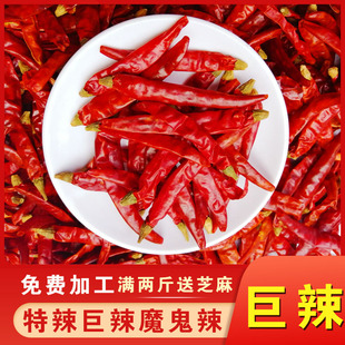 特辣特香印度魔鬼辣椒朝天椒海椒干辣椒节辣椒段免费磨粉烧烤粉
