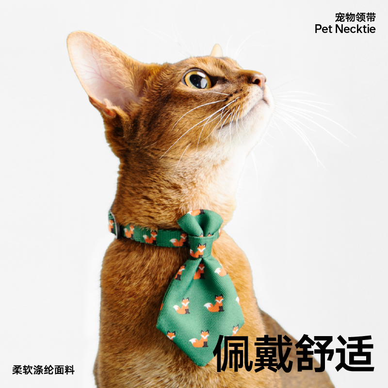 pidan宠物领带猫咪项圈脖套脖圈狗狗绅士领带饰品可调节宠物用品